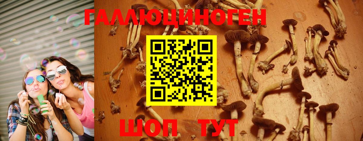 Псилоцибиновые грибы мицелий  что такое   Зима  Вход с VPN 